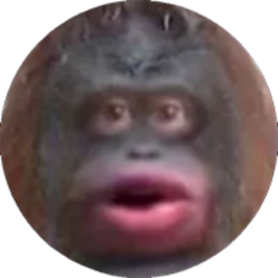 MONKE